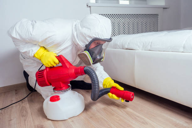 Best Exterminator Services  in Antwerp, OH